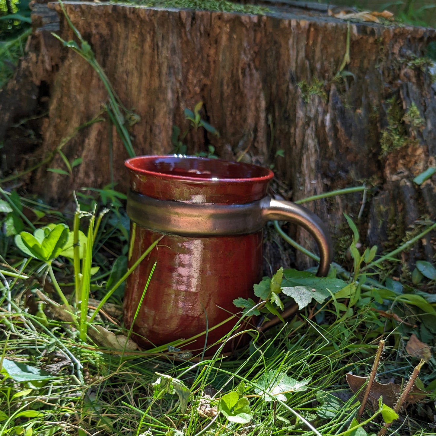 Stein