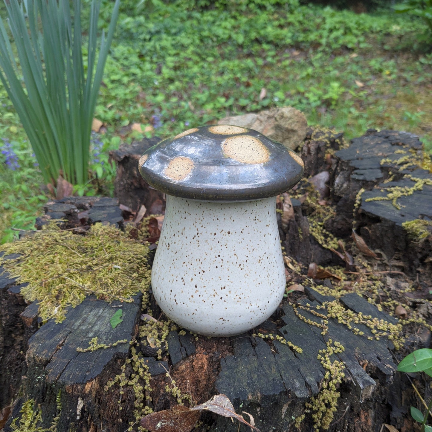 Mushroom Jar