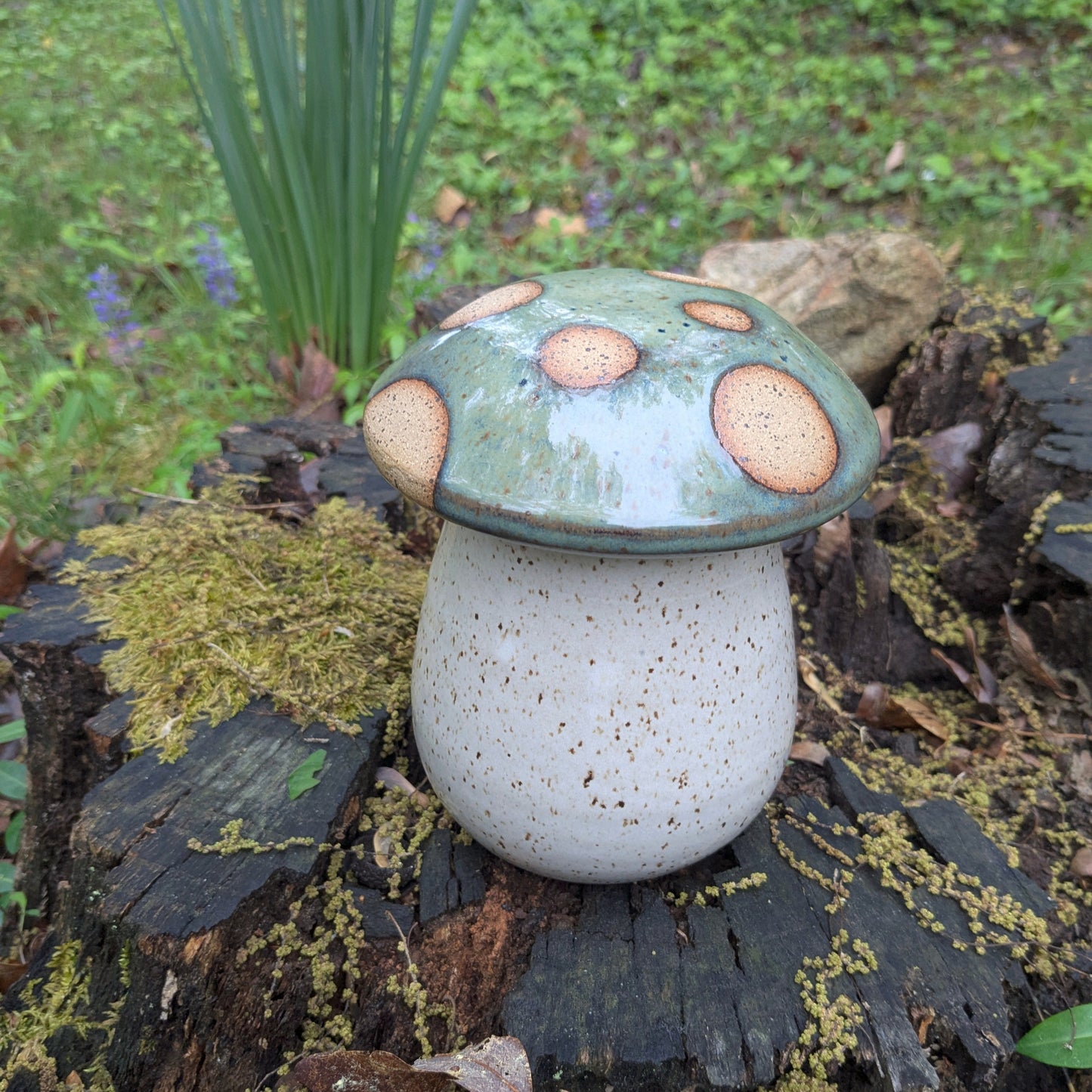 Mushroom Jar