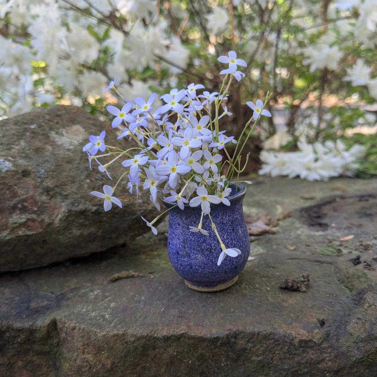 Dandelion vase