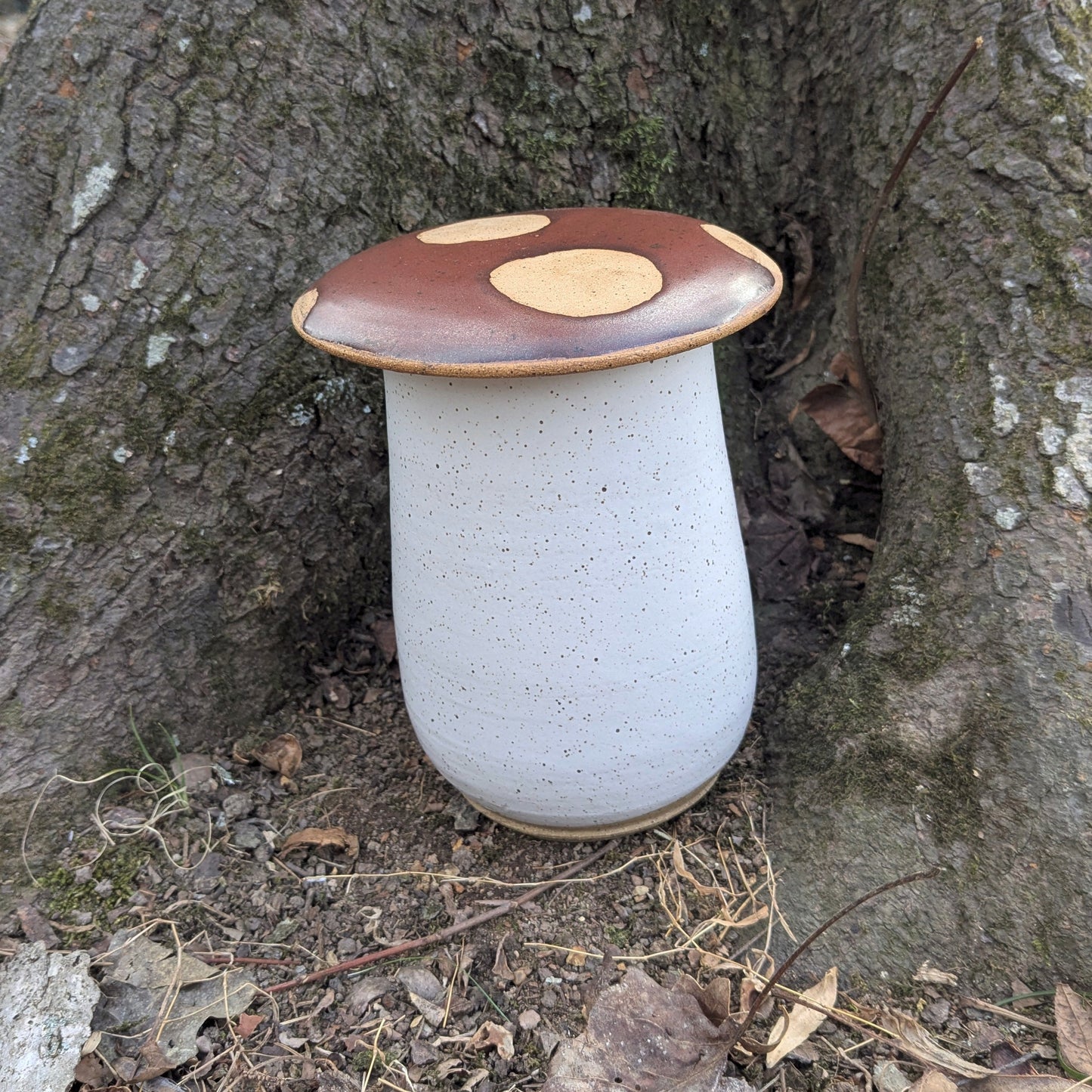 Mushroom Jars
