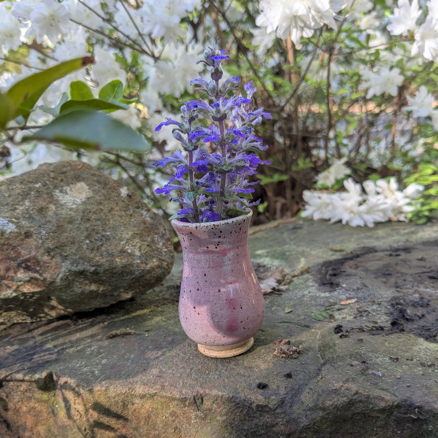 Dandelion vase