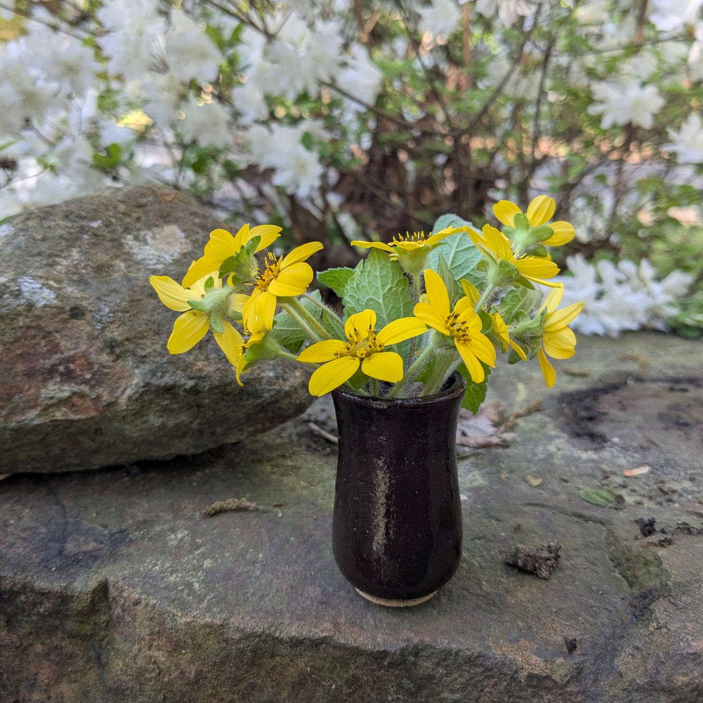 Dandelion vase