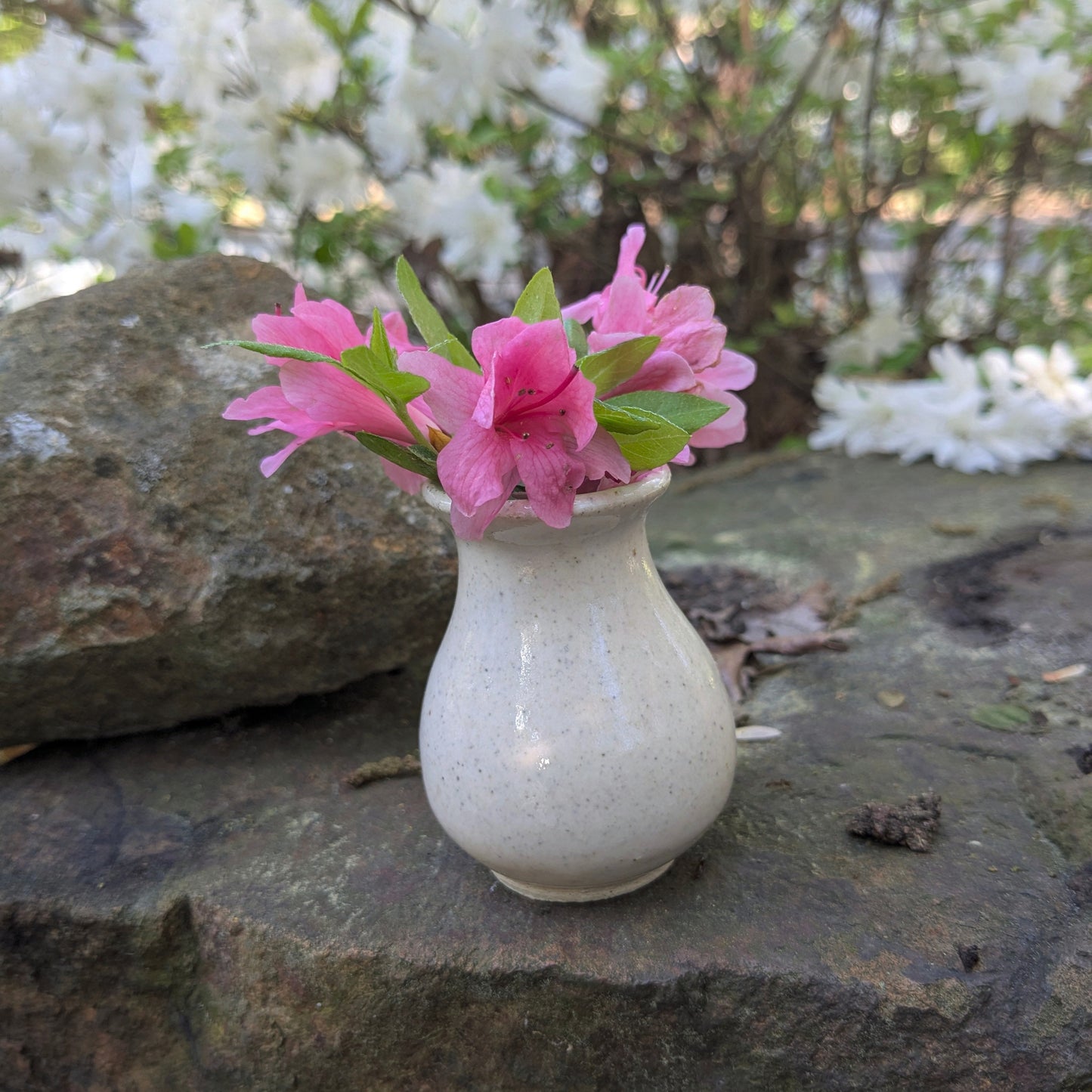Dandelion vase