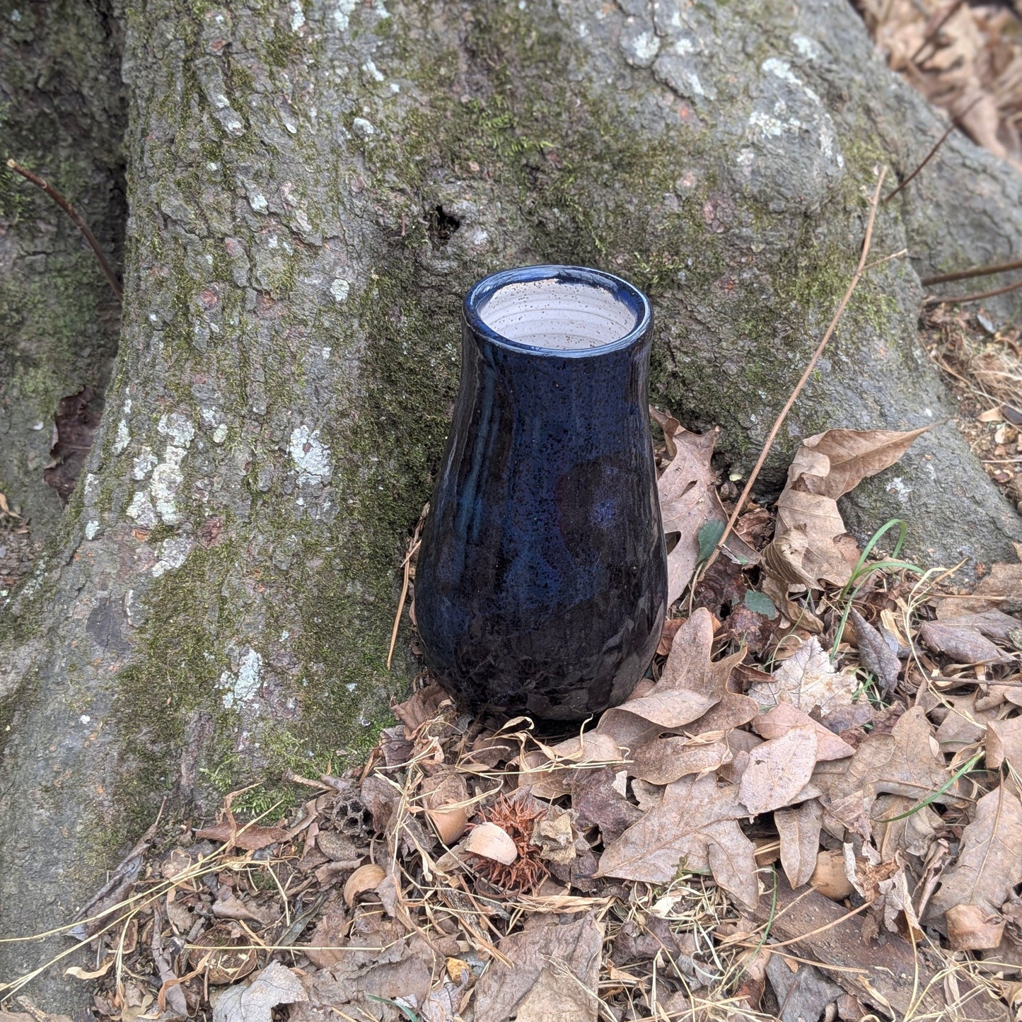 Black and blue vase on the ground next to a tree