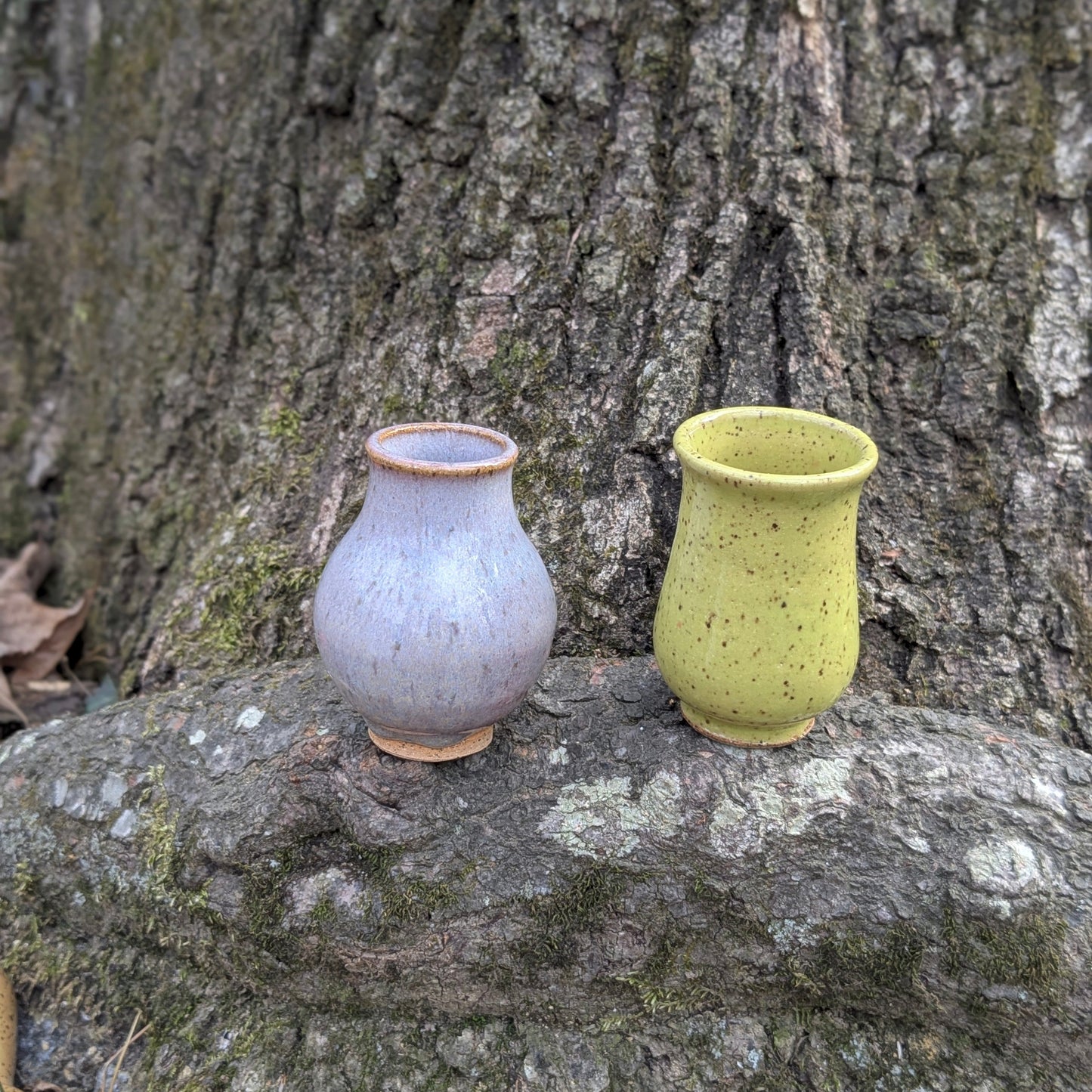 Two ceramic vases, one white and one green, placed against a tree trunk.